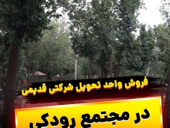 photo 2024 12 17 17 18 22 - مـسکن وفـــــــا