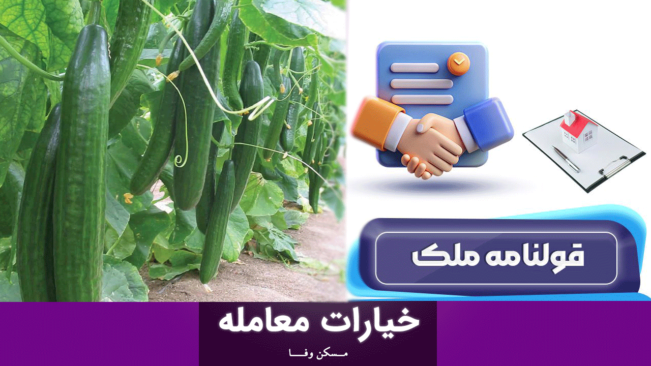 خیار معامله