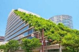mini green buildings the future of sustainable india 0 1200 - مـسکن وفـــــــا