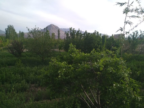 photo 2025 04 28 11 44 02 2 - مـسکن وفـــــــا